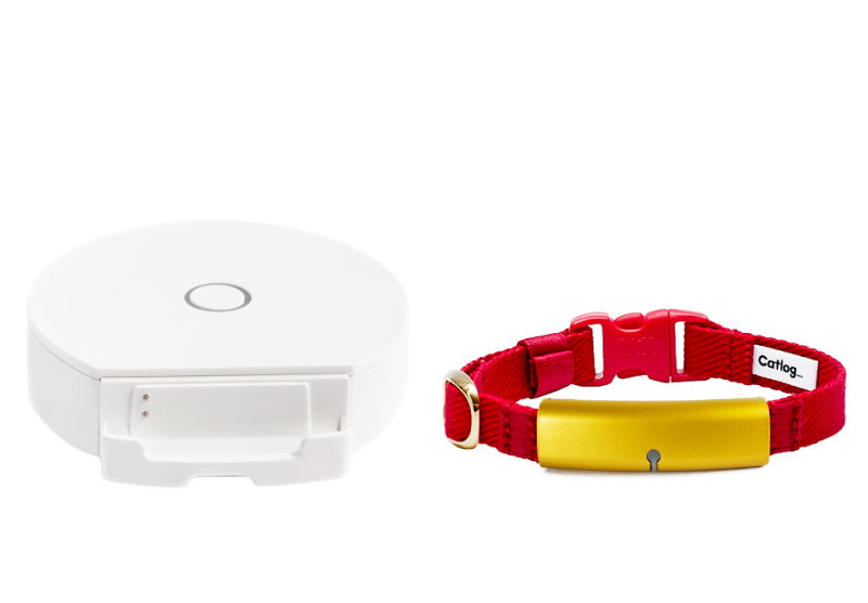 catlog（ゴールド）++Boardの3点セット catlog（ゴールド）++Boardの3点セット オフィシャルストア | Catlog